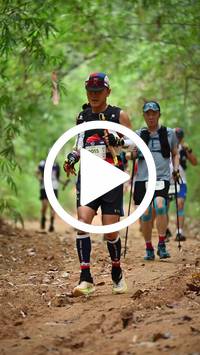 BIB:  <button type="button" onclick="openModal(26808776)" class="btn btn-primary btn-sm float-right" data-toggle="modal" data-target=".modal-high-quality">
                <i class="fa fa-download"></i> Download
                </button>